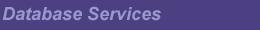 Software Services
