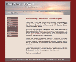 www.davidschwab.net